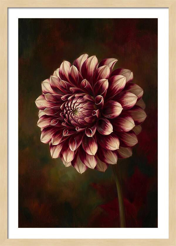 Dahlia Blossom Elegance