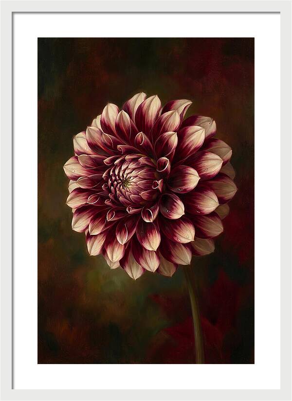 Dahlia Blossom Elegance