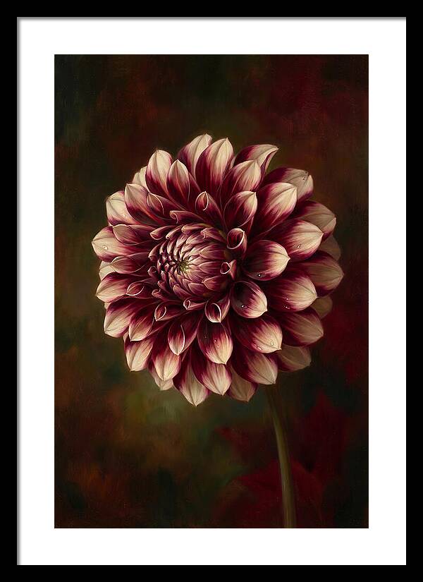 Dahlia Blossom Elegance