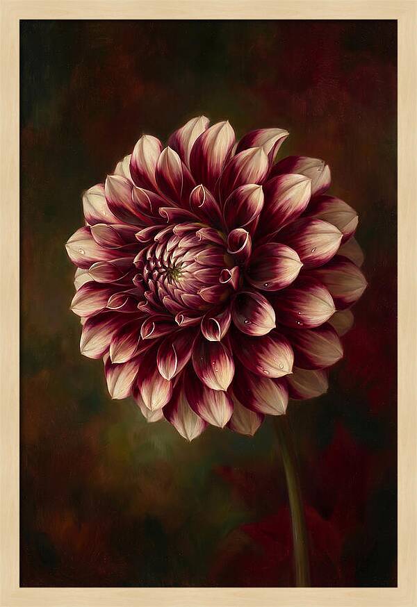 Dahlia Blossom Elegance