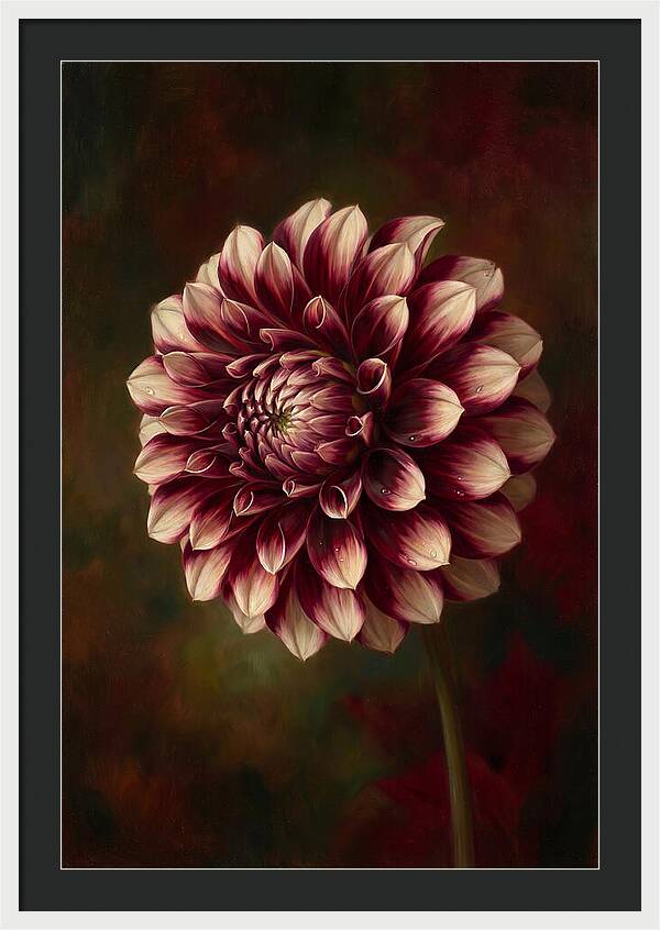 Dahlia Blossom Elegance