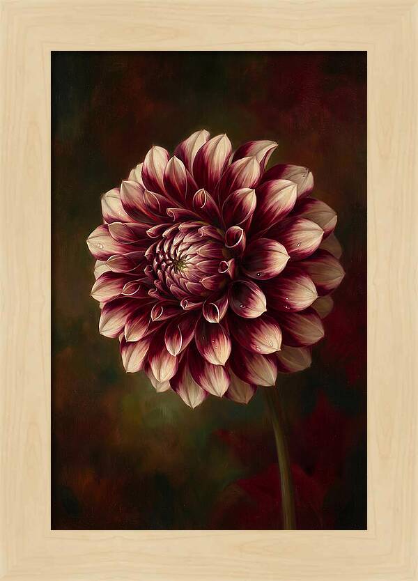 Dahlia Blossom Elegance
