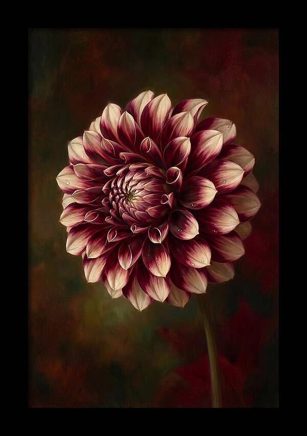 Dahlia Blossom Elegance