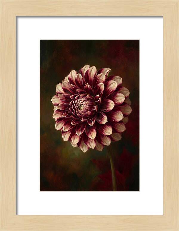 Dahlia Blossom Elegance