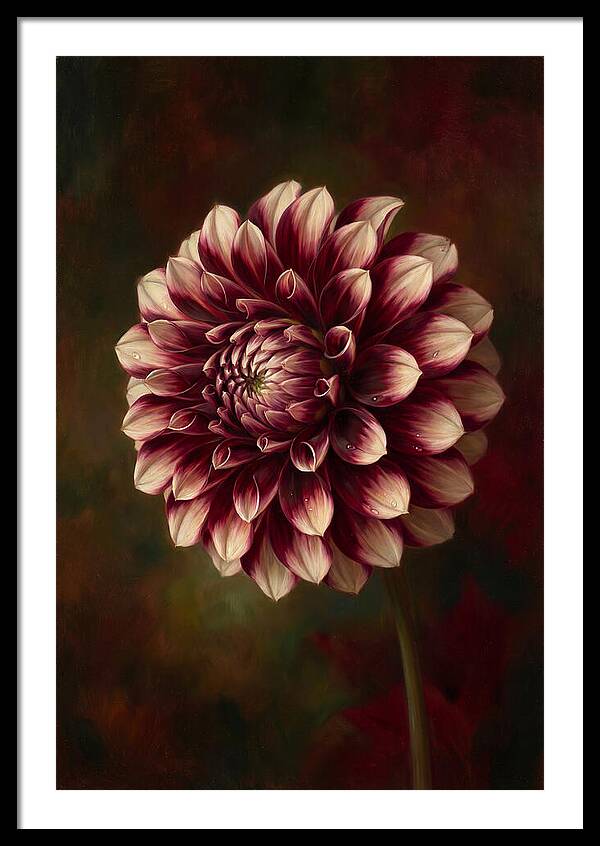 Dahlia Blossom Elegance