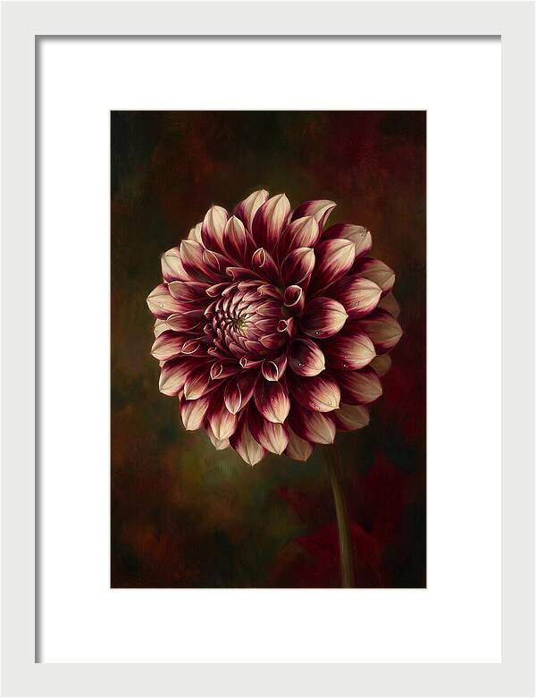 Dahlia Blossom Elegance