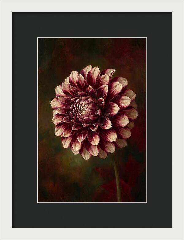 Dahlia Blossom Elegance