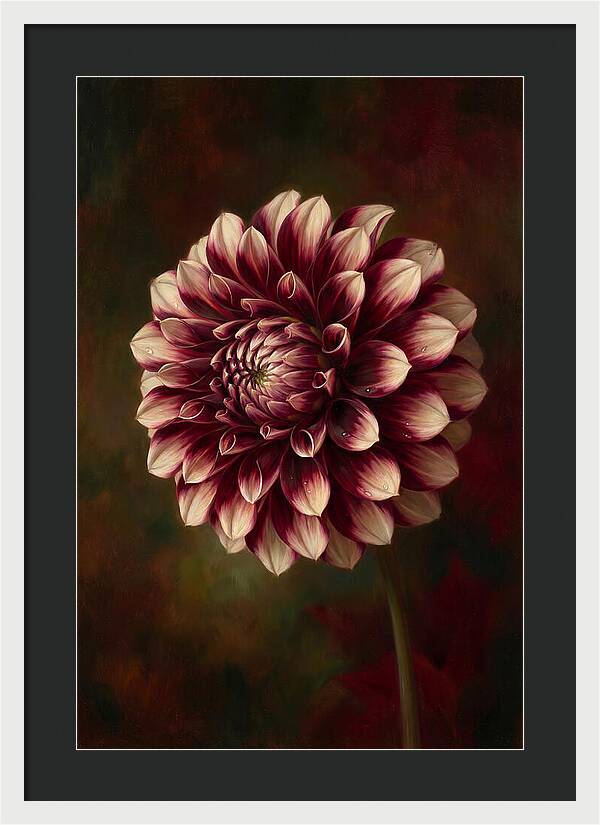Dahlia Blossom Elegance