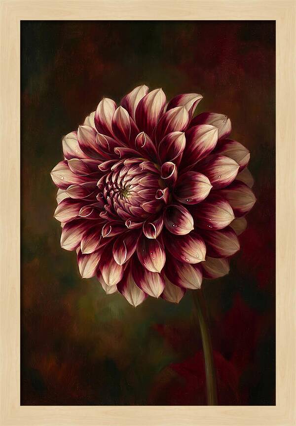 Dahlia Blossom Elegance