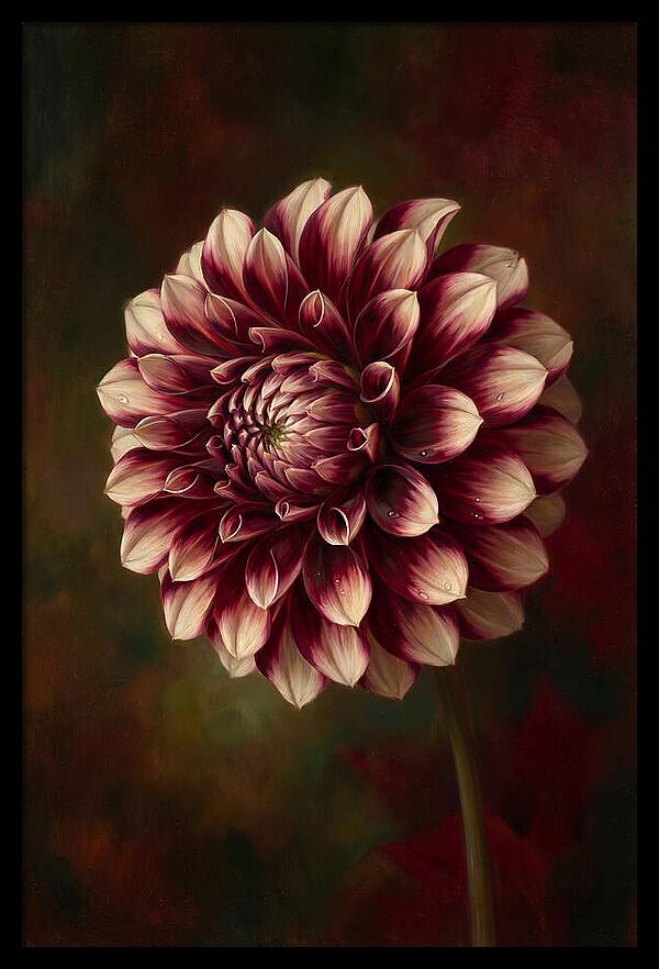Dahlia Blossom Elegance