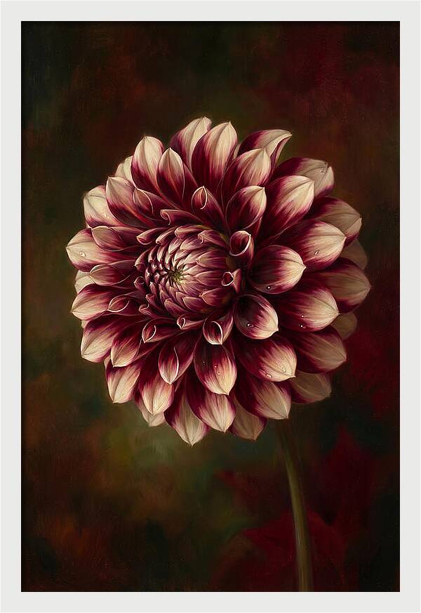 Dahlia Blossom Elegance