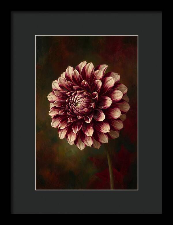 Dahlia Blossom Elegance