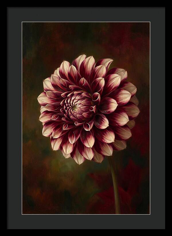 Dahlia Blossom Elegance