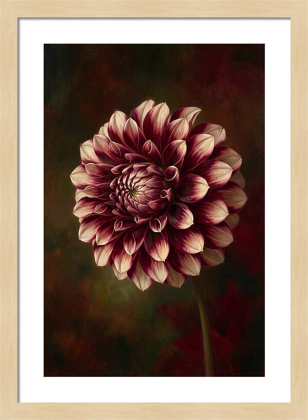 Dahlia Blossom Elegance