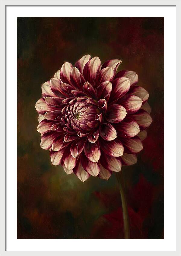 Dahlia Blossom Elegance