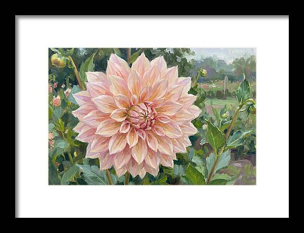 Dahlia Blossom In Bloom