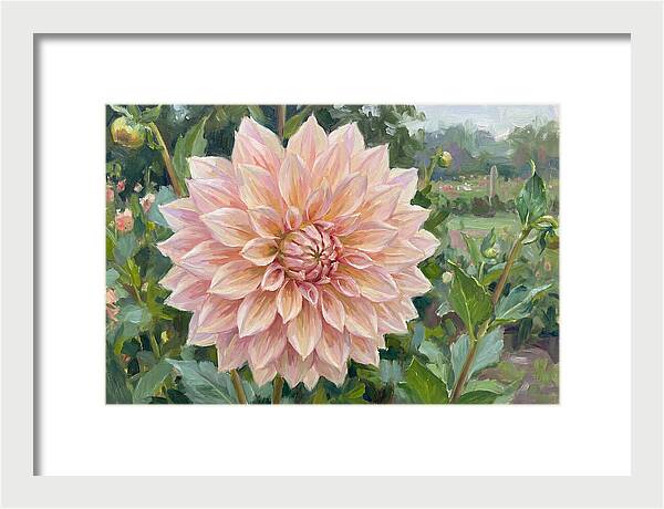 Dahlia Blossom In Bloom