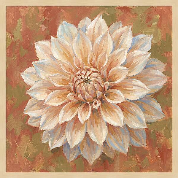 Dahlia Blossom In Soft Hues