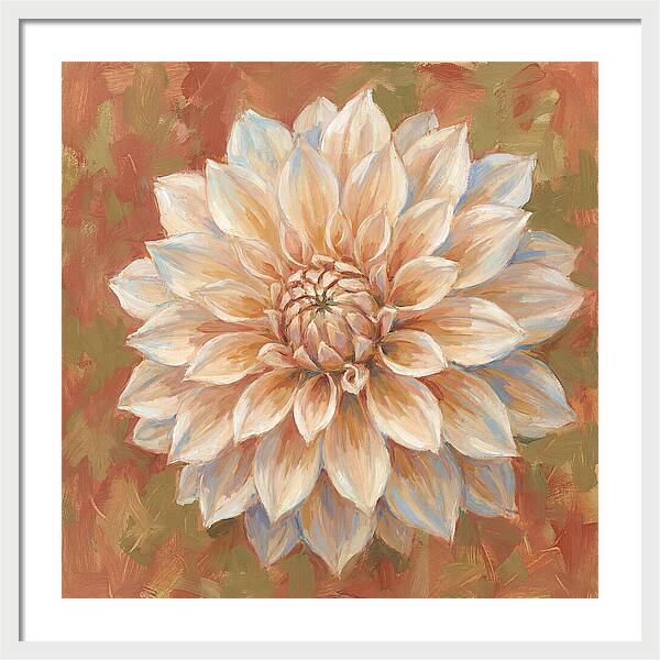 Dahlia Blossom In Soft Hues