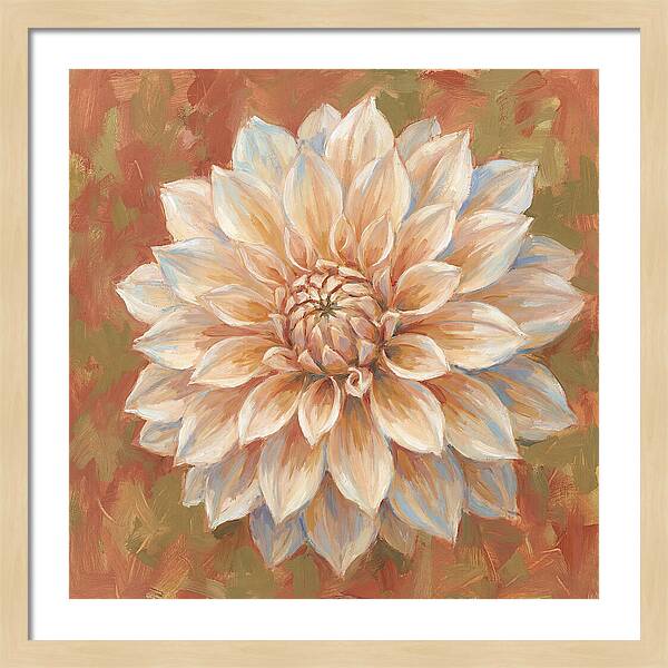 Dahlia Blossom In Soft Hues