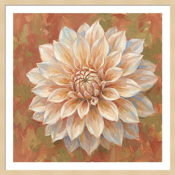 Dahlia Blossom In Soft Hues