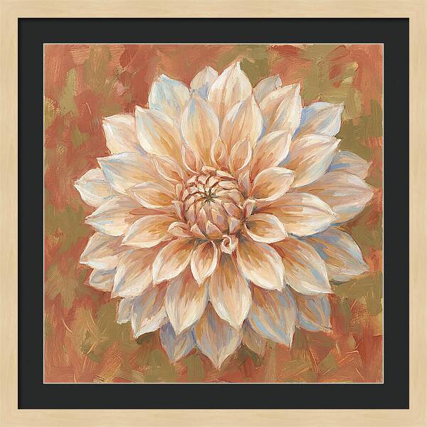Dahlia Blossom In Soft Hues