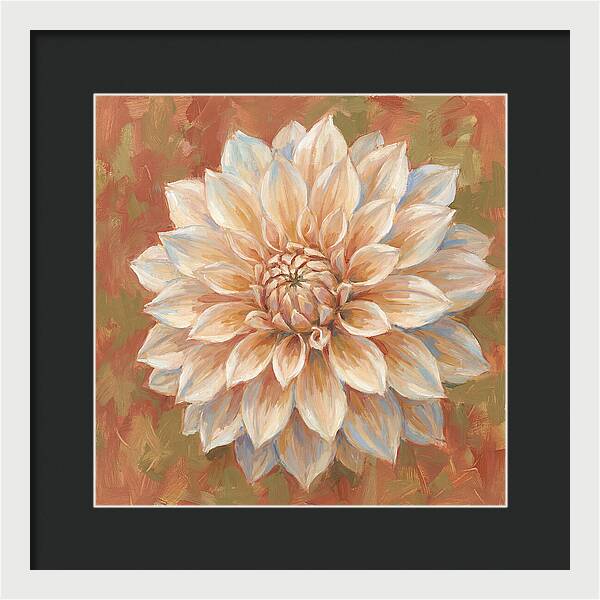 Dahlia Blossom In Soft Hues