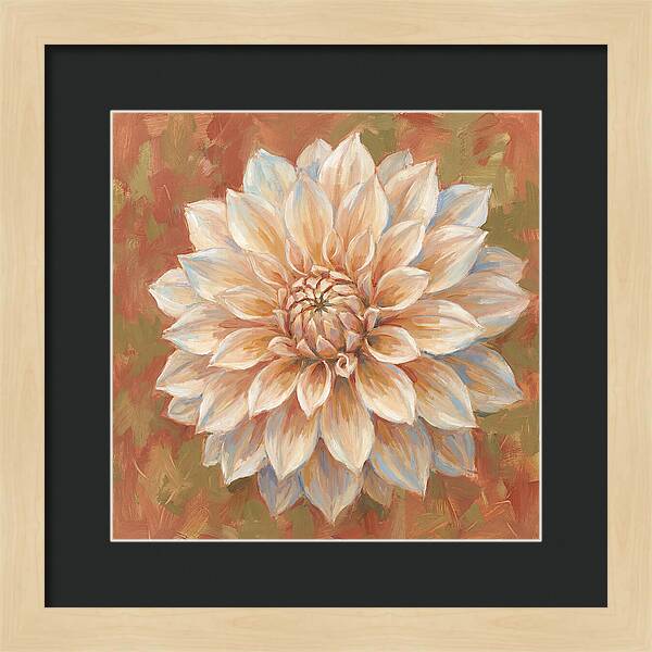 Dahlia Blossom In Soft Hues