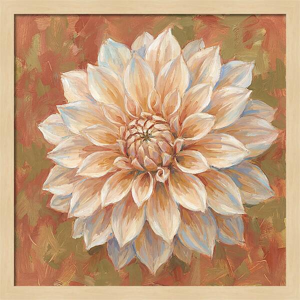 Dahlia Blossom In Soft Hues
