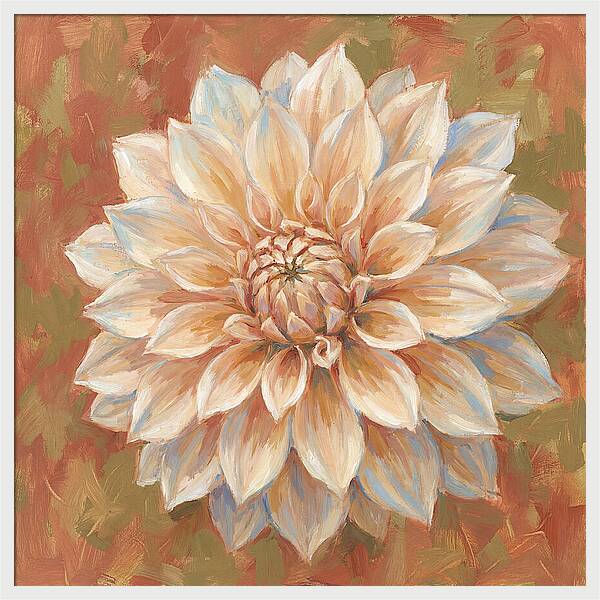 Dahlia Blossom In Soft Hues