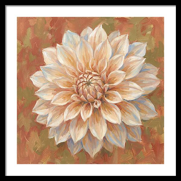 Dahlia Blossom In Soft Hues