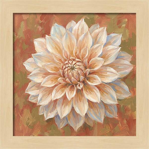 Dahlia Blossom In Soft Hues