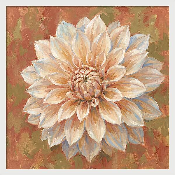 Dahlia Blossom In Soft Hues