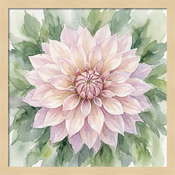 Dahlia Blossom In Watercolor