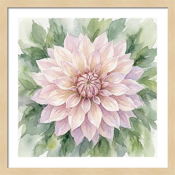Dahlia Blossom In Watercolor
