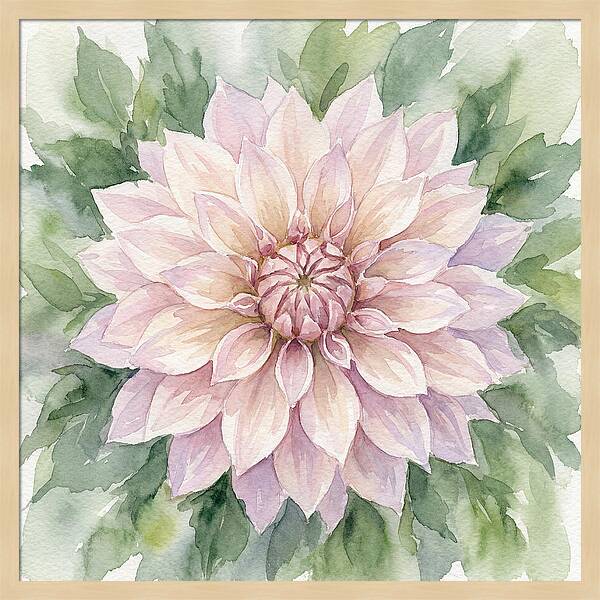 Dahlia Blossom In Watercolor