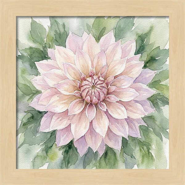 Dahlia Blossom In Watercolor