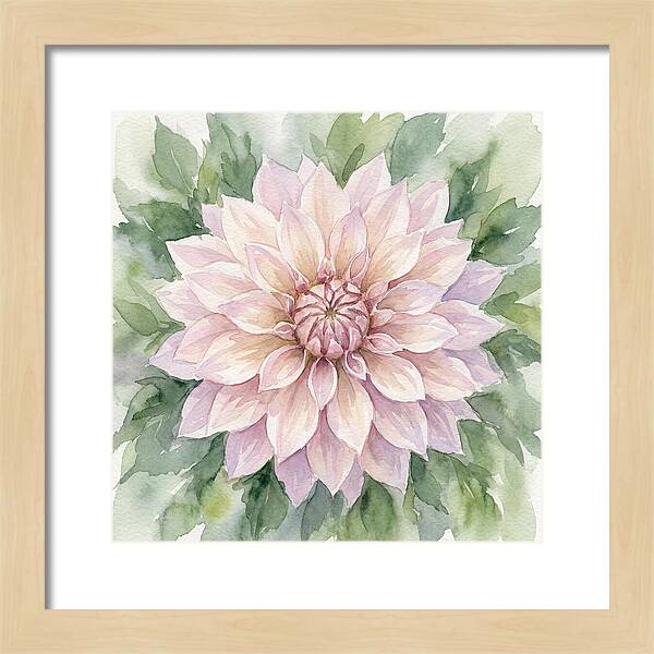 Dahlia Blossom In Watercolor