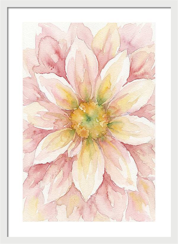 Dahlia Blossom Watercolor