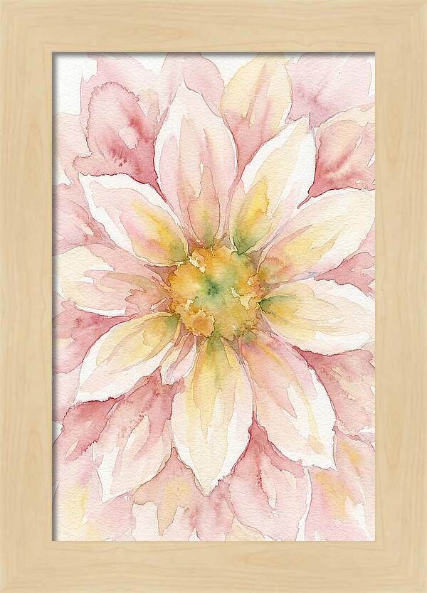 Dahlia Blossom Watercolor