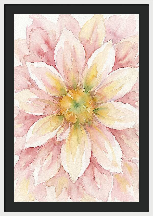 Dahlia Blossom Watercolor