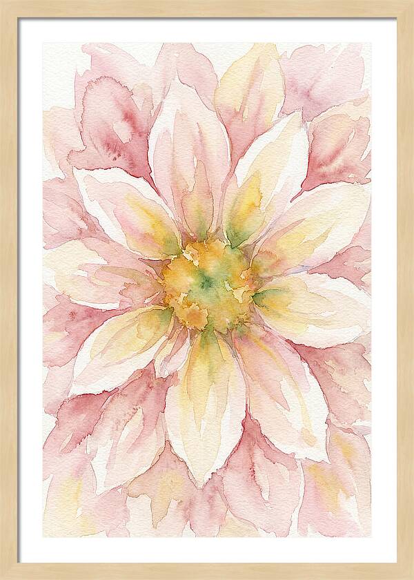 Dahlia Blossom Watercolor