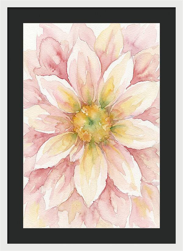 Dahlia Blossom Watercolor