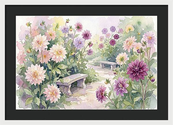Dahlia Blossoms In Bloom