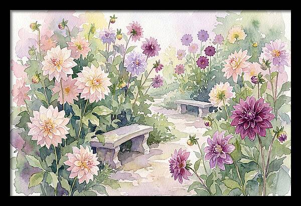 Dahlia Blossoms In Bloom