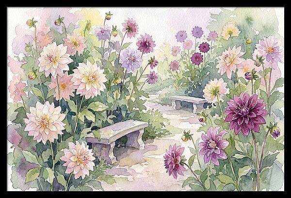 Dahlia Blossoms In Bloom