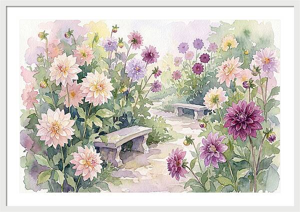 Dahlia Blossoms In Bloom