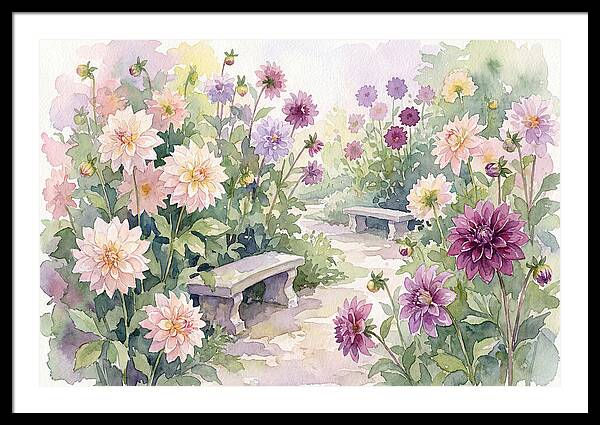 Dahlia Blossoms In Bloom
