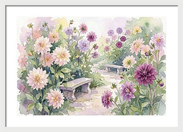 Dahlia Blossoms In Bloom