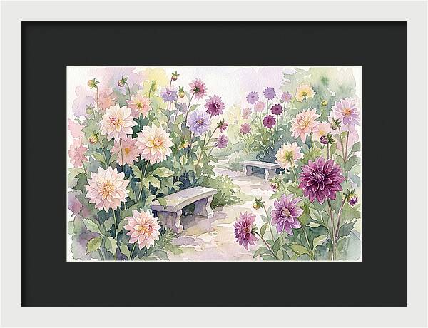 Dahlia Blossoms In Bloom